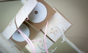 Popieriniai ranku darbo cd dvd kompaktu  dekliukai (10)